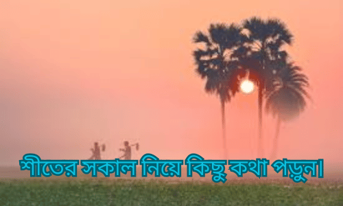 শীতের সকাল নিয়ে কিছু কথা পড়ুন। 